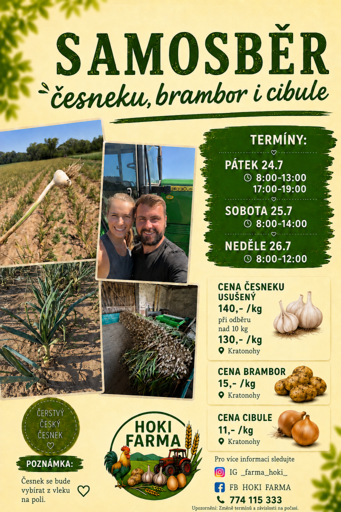 Samosběr zeleniny v&nbsp;Kratonohách 