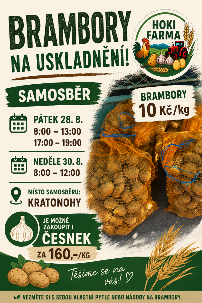 Samosběr brambor v&nbsp;Kratonohách 