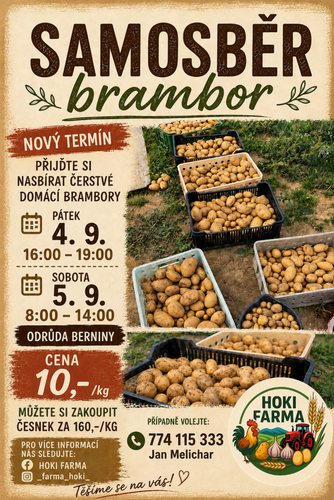 Samosběr brambor v&nbsp;Kratonohách