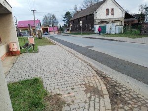 320 Bříza