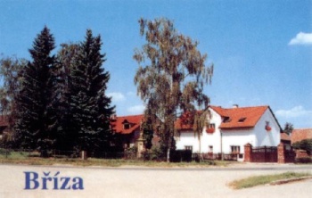 Bříza - náves